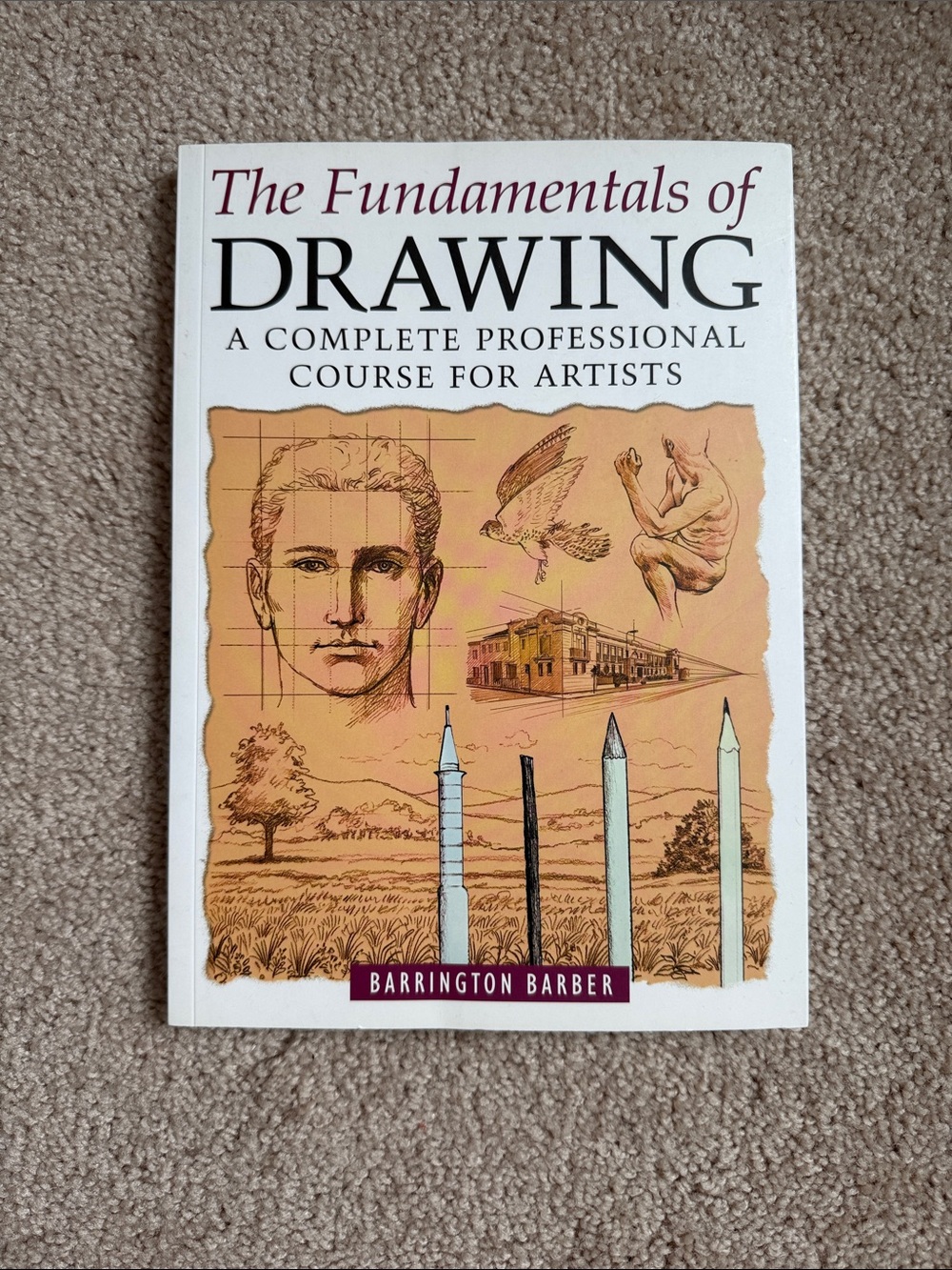The Fundamentals of Drawing: A Complete Professional Course for Artist